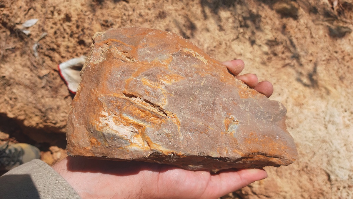 Trabajo en terreno 10