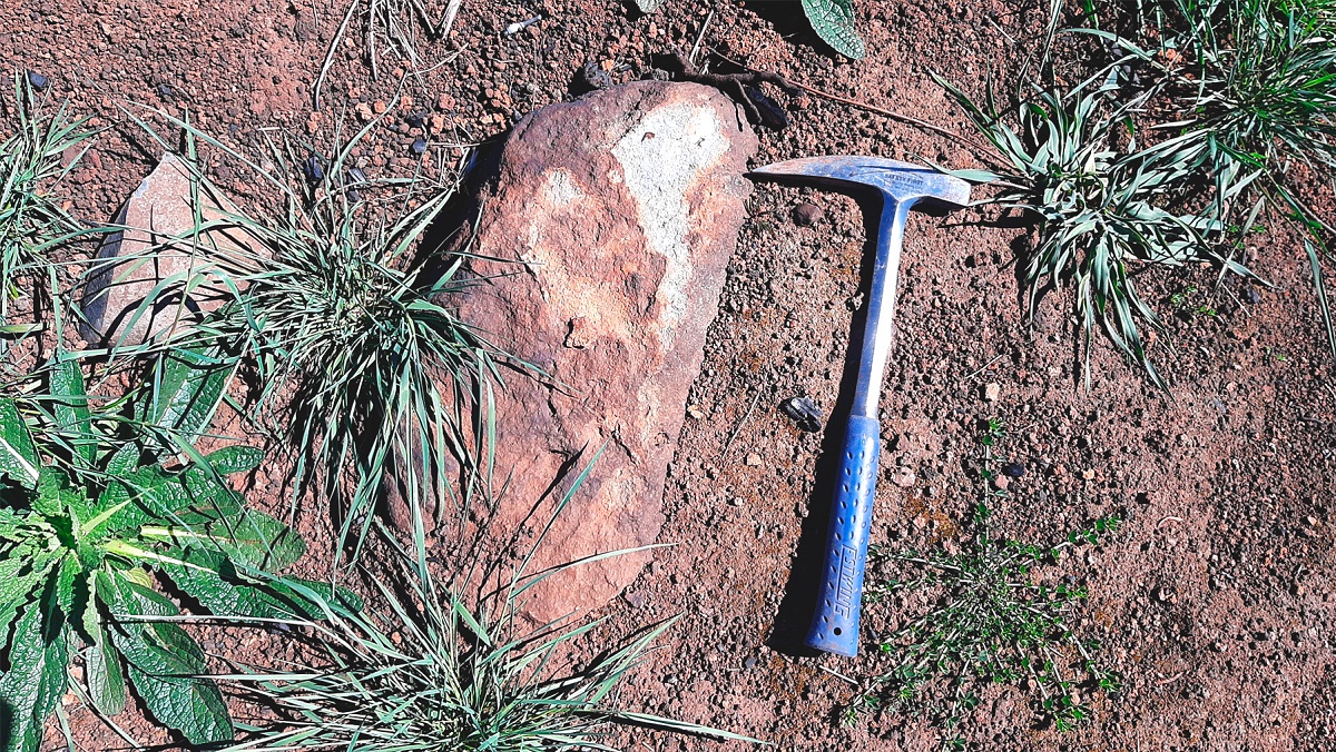 Análisis de fósiles