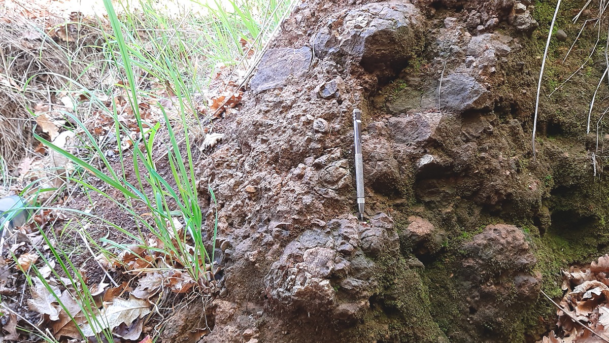 Trabajo en terreno 3