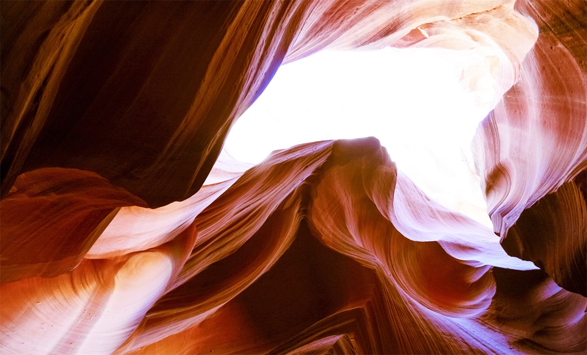 Trabajo en terreno — estratos geológicos y fósiles