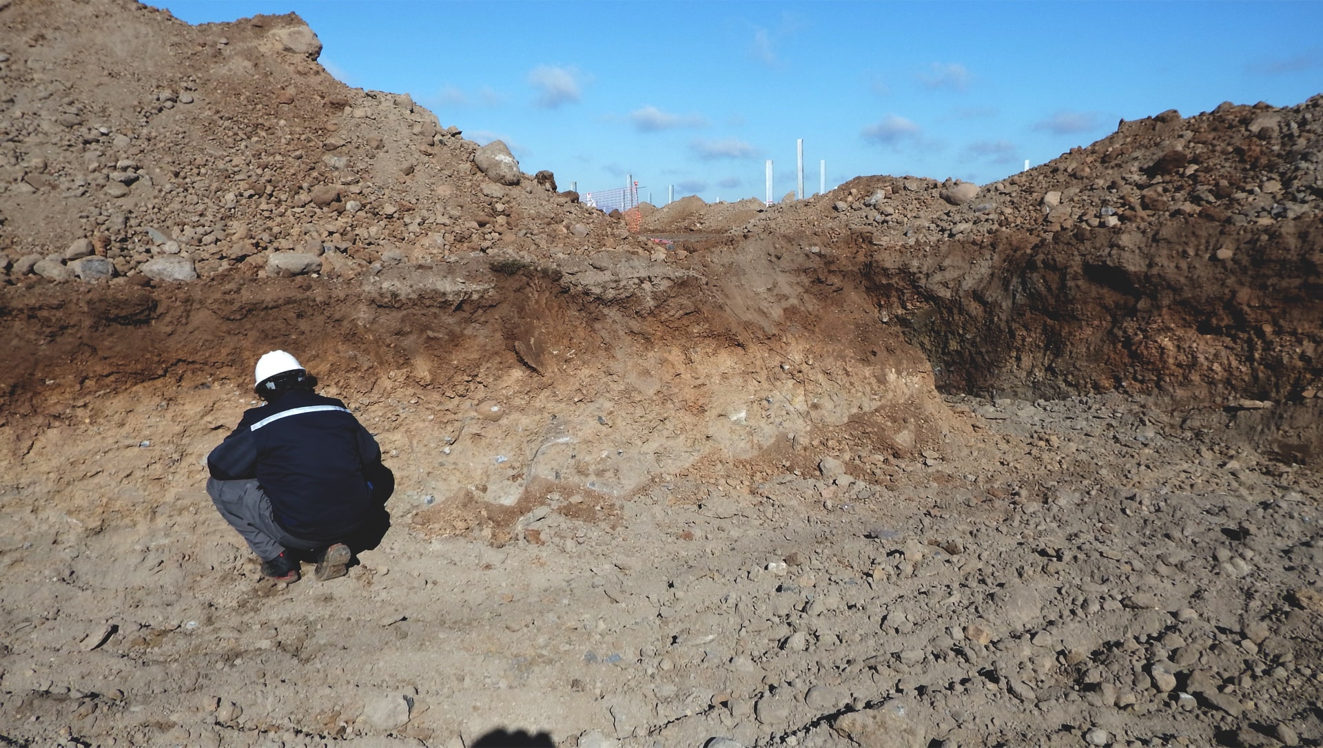 Excavación paleontológica